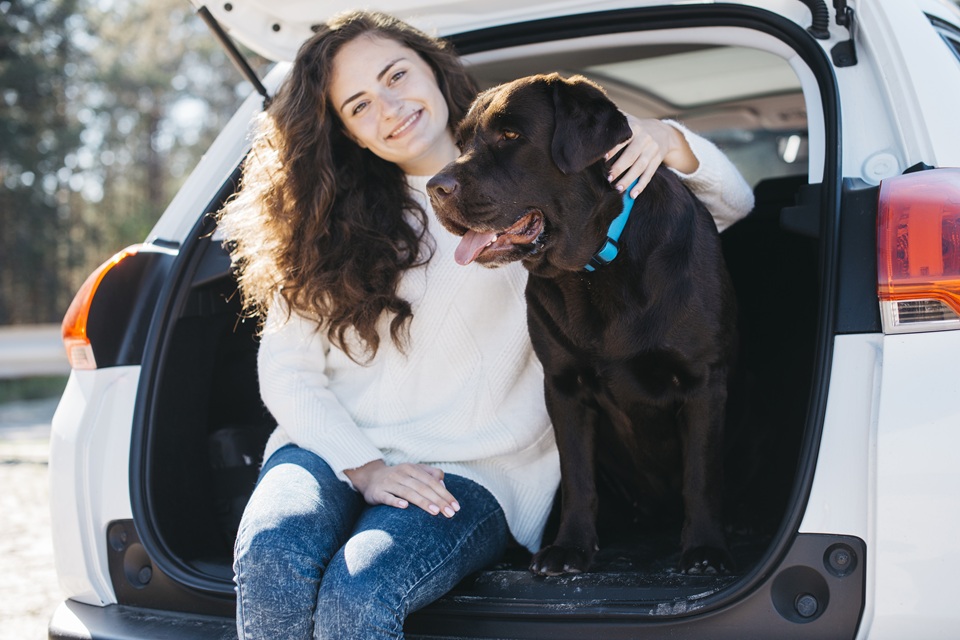Car Rides With Your Dog