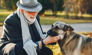 Pet Cremation Costs