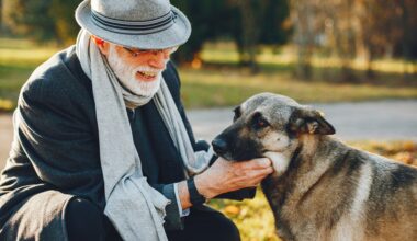 Pet Cremation Costs