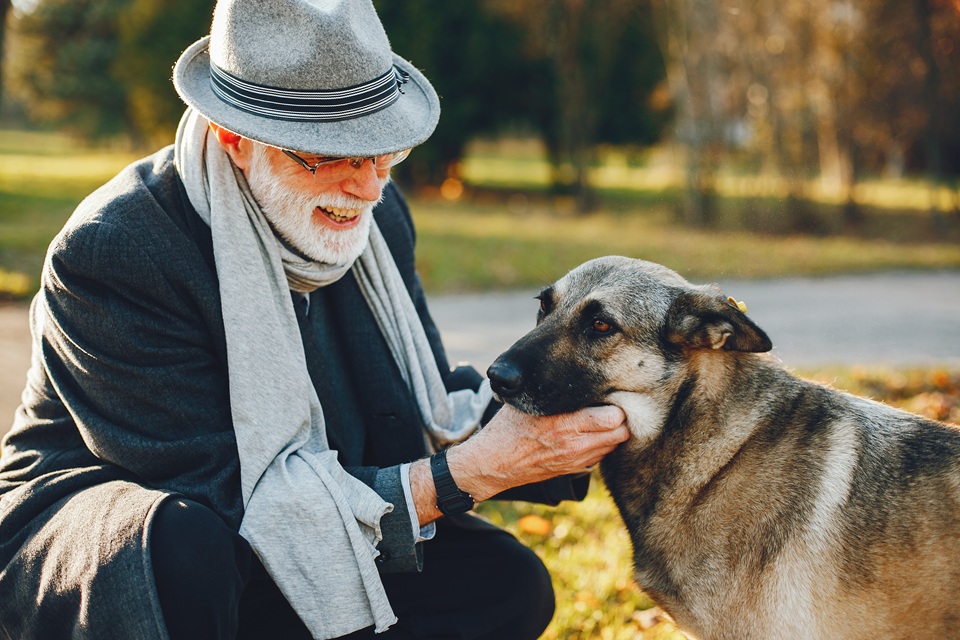 Pet Cremation Costs