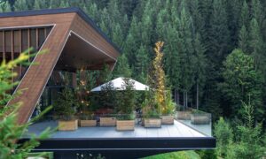 Designing Spacious Cabin Homes