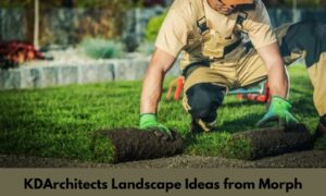 kdarchitects landscape ideas from morph