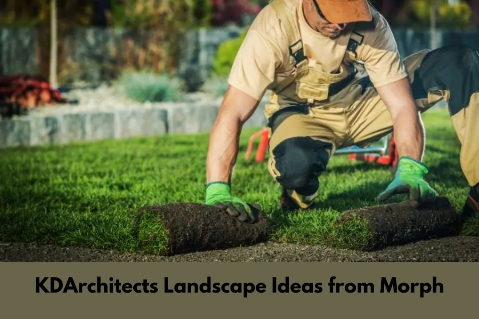 kdarchitects landscape ideas from morph