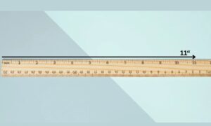 things that are 11 inches long