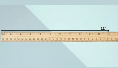 things that are 11 inches long