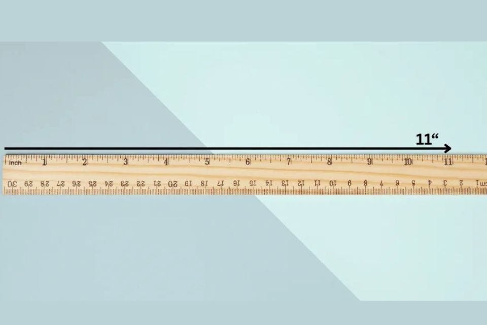 things that are 11 inches long
