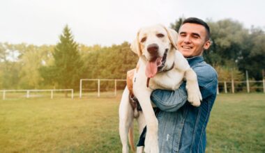 Pet Owner's Checklist For Vetting Doggie Daycares