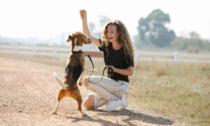 Positive Dog Training For A Happier Home