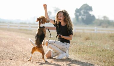 Positive Dog Training For A Happier Home