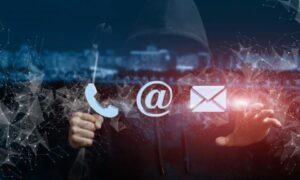 thestripesblog contact fisher