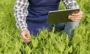 Modern Approaches To Farmland Management