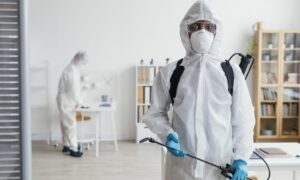 Pest Control Solutions For Homes And Businesses