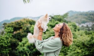 Pet Happy And Healthy