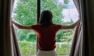 Window Coverings On Room Aesthetics