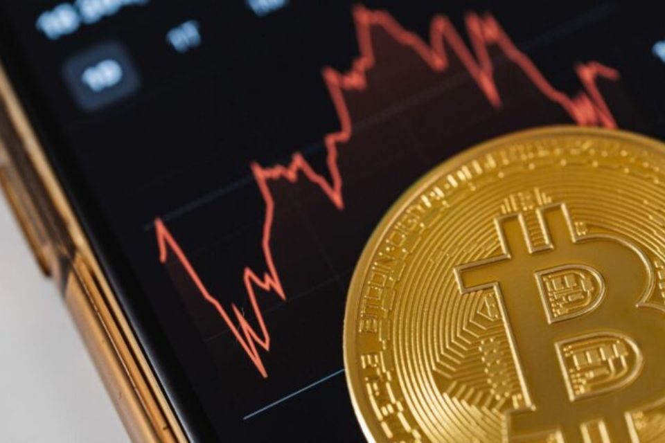 contact crypticstreet.com