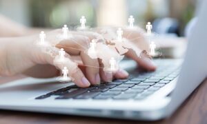 Link Building Packages