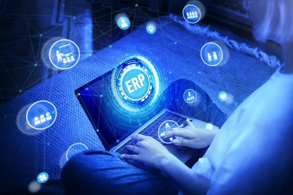 Sap Erp Connector For Search