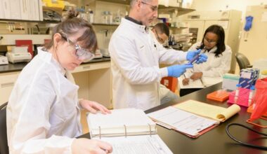Advancements In High-Quality Peptide Research