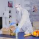 Practical Strategies To Keep Your Home Pest-Free