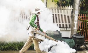 Seasonal Pest Prevention In Northern Virginia