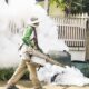 Seasonal Pest Prevention In Northern Virginia