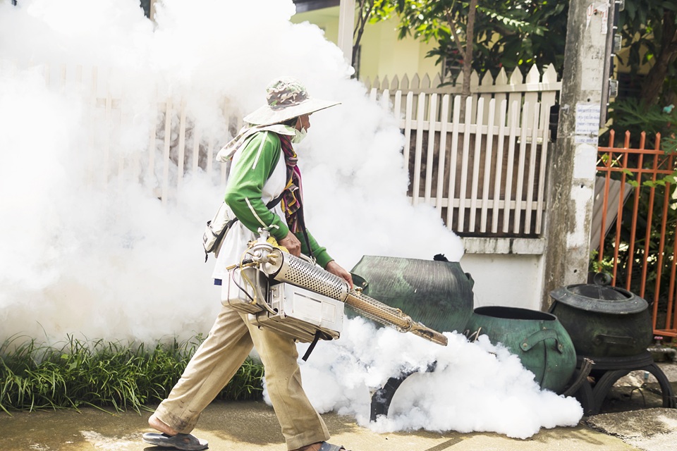 Seasonal Pest Prevention In Northern Virginia