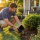How Homeowners Can Reduce Mosquitoes Around The Yard